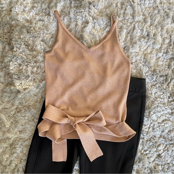 Express Pink Shimmer Sleeveless Top with Tie Size Small - Picture 2 of 7